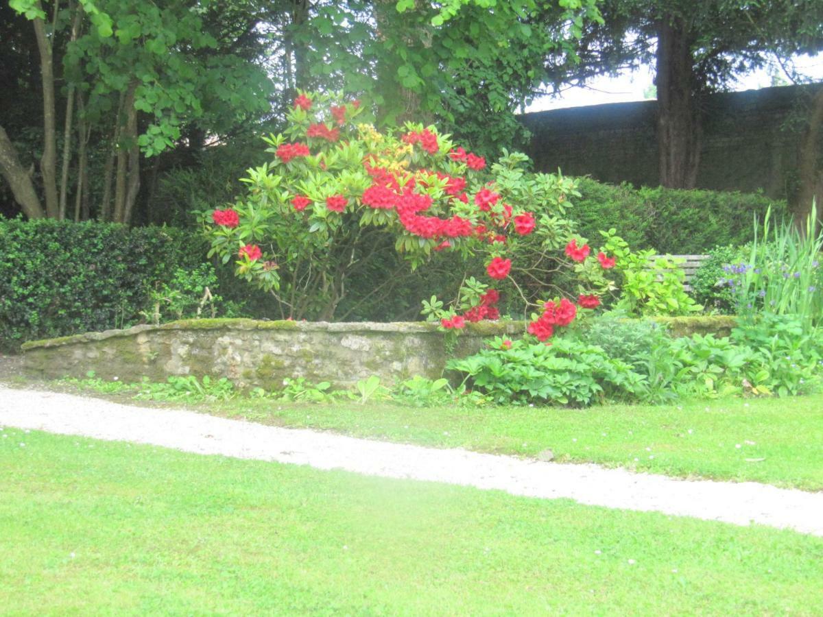 Bed & Breakfast Chateau Les Cedres Bretteville-l'Orgueilleuse Zewnętrze zdjęcie